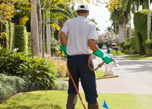 About Lamont KS Pest Control